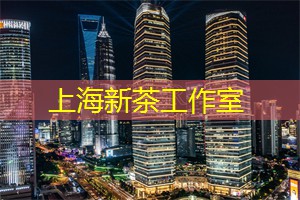 上海娱乐网：城市中的夜式游乐场探秘